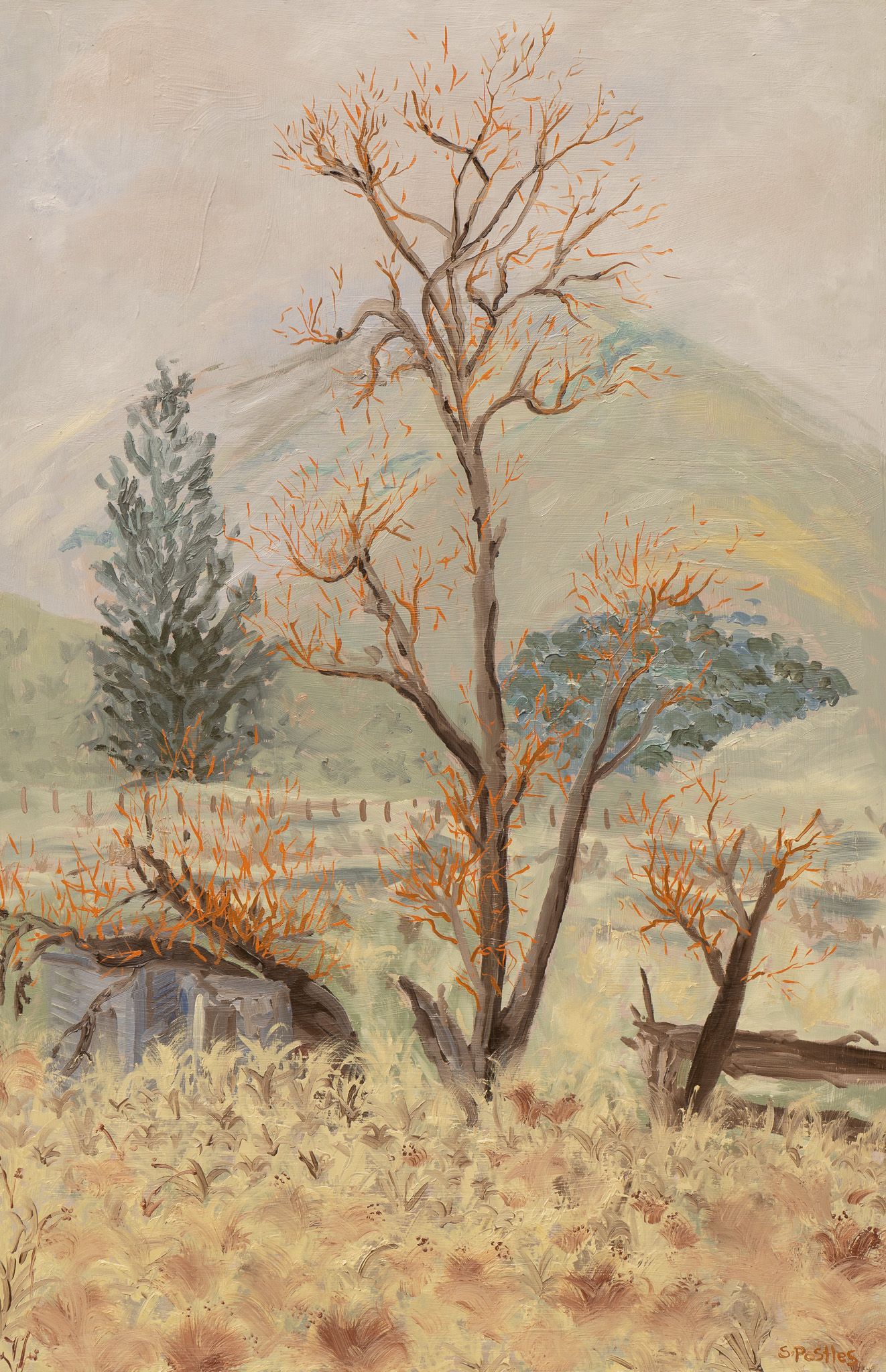 I could hear the stags roaring — Walking into windows, 2024